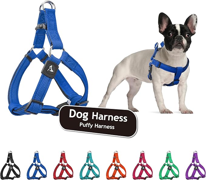 Kruz No Pull Dog Harness (Chest 30”-44”, Weight 66-176 lbs) Heavy-Duty Pet Harness for Large Breeds, Ultra-Comfort Fit, Lifetime Durability, Adjustable Dog Harness No Pull Design (Blue, X-Large)