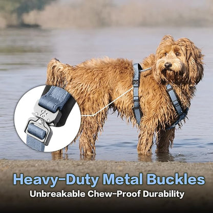 PawsPassion Dog Harness for Medium Dogs, No Pull Dog Harness Easy Walk with Metal Hardware, Ergonomic Y-Shaped Design, Soft Padding, Padded Handle, Durable High-Tensile Nylon (Horizon, M)