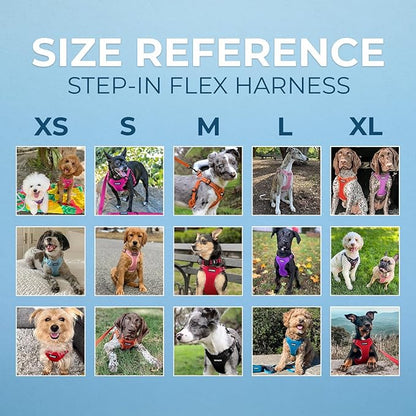 Best Pet Supplies Voyager Adjustable Step-in Flex Breathable Mesh Dog Harness for Small Medium Large Dogs (Orange), XL