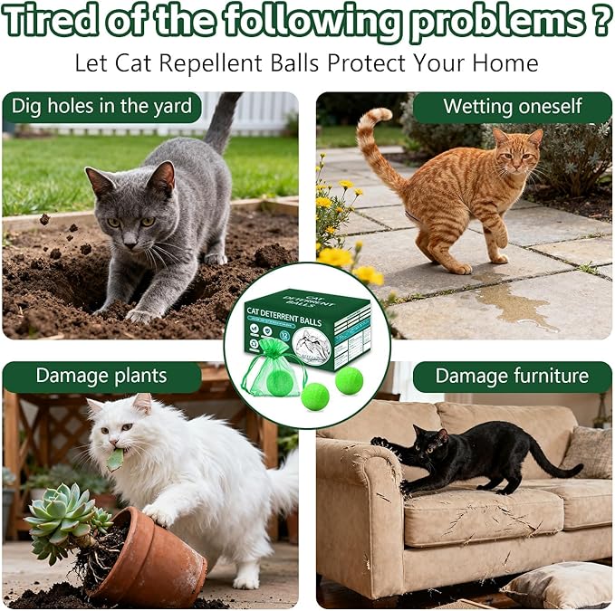iALTERLL Cat Repellent Outdoor to Keep Cats Away (12Pack) Natural Peppermint Oil Cat Deterrent Outdoor and Indoor Green