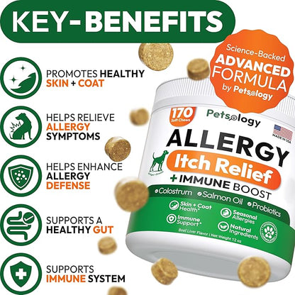 Dog Allergy Relief Chews - 170 Dog Allergy Chews - Itch Relief for Dogs - Omega 3 Fish Oil, Probiotics For Itchy Skin & Hot Spots Allergies, Paw Licking, Dry Skin & Coat Supplement - Beef Liver Flavor