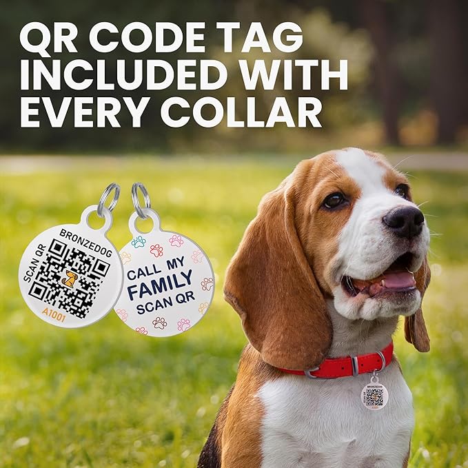 BRONZEDOG Rolled Leather Dog Collar for Small Medium Large Dogs with QR ID Tag (XS: 9-11 Inch, Chocolate Brown)