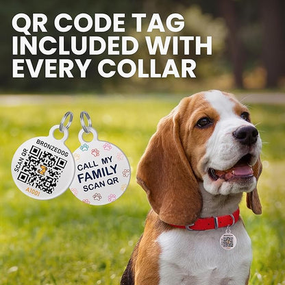 BRONZEDOG Rolled Leather Dog Collar for Small Medium Large Dogs with QR ID Tag (S: 12-14 Inch, Hot Pink)