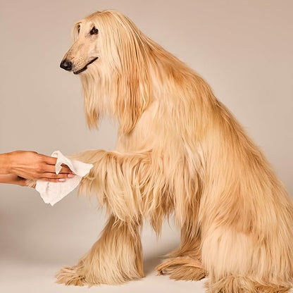 WagWell Daily Cleansing Dog Wipes 50 Count – Vet-Approved, All Natural, Dermatologist Tested, Microbiome-Friendly – Head-to-Tail (Avoid Eye Area), Helps Reduce Odor – No Added Fragrance