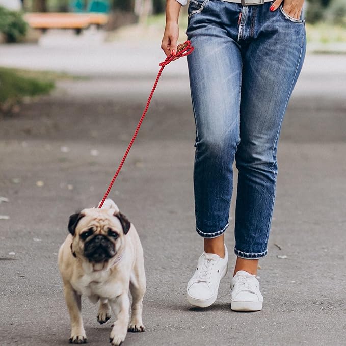 Mile High Life Dog Leash, Braided Cotton Rope Leashes with Leather Tip - Heavy Duty Metal Clasp, 5FT, 1/3" Thick - Wedding, Walking Leash for Small Medium Puppy(Red)