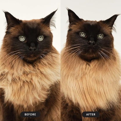 Pet Teezer by Tangle Teezer Cat Brush, De-Shedding Cat Hair Brush for a Gentle, Soothing Groom & Short to Medium Length Fur, Green