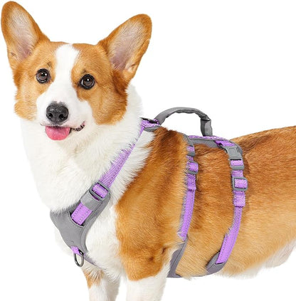 Huntboo Reflective Dog Harness with Handle, Escape Proof, No Slip, Breathable, Lightweight, Adjustable Lift Harness for Small,Medium,and Large Dogs Walking,Training,and Running Gear(Lavender Purple,M)