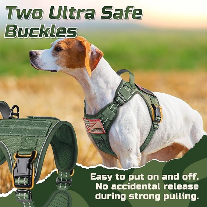 rabbitgoo Tactical Dog Harness Medium Sized Dog, No Pull Military Service Vest with Handle & Molle, Easy Control for Training Walking, Adjustable Reflective Straps, Green, M