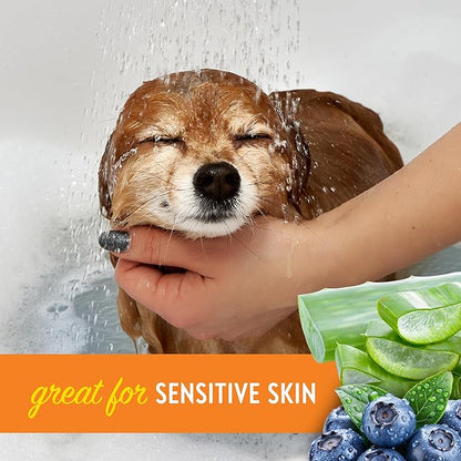 Dogtopia Blueberry Facial Cleansing Wash for Dogs (16oz) and Facial Wipes (60ct) Combo | Gently Remove Tear Stains | Remove Saliva Stains | Brighten and Whiten Coat | Daily Tear Stain Wipes
