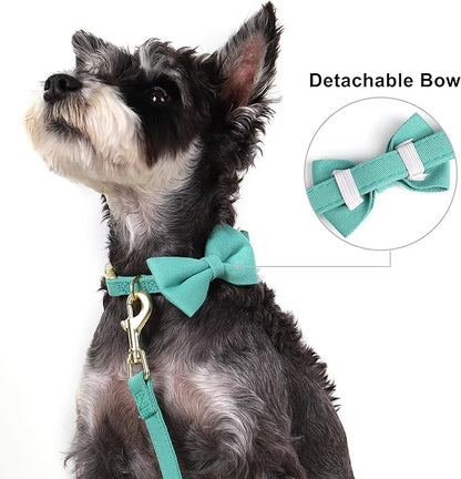 Beirui Adorable Small Dog Harness Collar Leash Set,Cute Puppy Harness with 3 Bows for XS Dogs,Yorkie,Adjustable Step-in Vest for Walking,Parties&Holiday Outfits(Teal,XS)