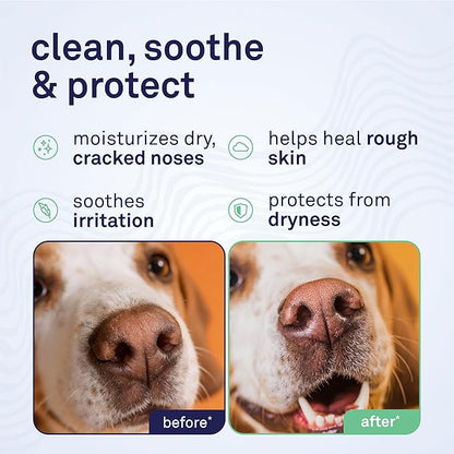 Petpost | Snout Balm for Dogs - Nourishing Snout Soother Balm Heals Dry Dog Noses with Moisturizing Ingredients - Organic Coconut Oil, Jojoba Oil, and Shea Butter 0.64 oz.