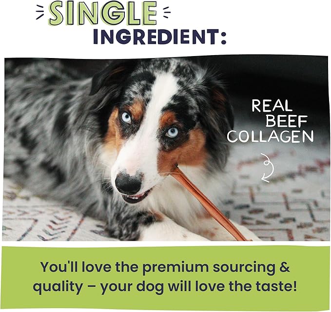 Pawstruck All Natural 11-12" Roasted Collagen Sticks for Dogs – Low Odor & Long-Lasting Bully Stick & Rawhide Alternative, Single Ingredient, Vet Approved – 5 Pack