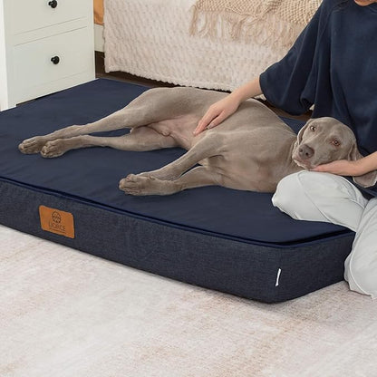 LIORCE Orthopedic Memory Foam Giant Dog Bed - 6" Thick Beds for Large Sized Dog - Waterproof Removable Washable Cover & Wrap-Around Zipper - Ultimate Comfort & Easy Maintenance