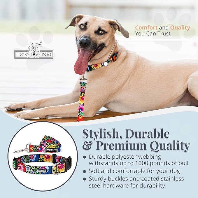 Lucky Love Dog - Easy Click Buckle Dog Collar with Leash Set Combo, Durable & Comfortable for Male & Female Dogs, Pet Collar for Medium Dogs, Secure Fit - Blackbird Combo, Medium