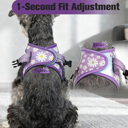EXPAWLORER Small Dog Harness and Leash Set - Cute Spring Puppy Harness Leash Dog Collar with AirTag Holder Silicone Case, Soft Padded Step in Pet Vest Reflective for Outdoor Walking, Purple Daisy S