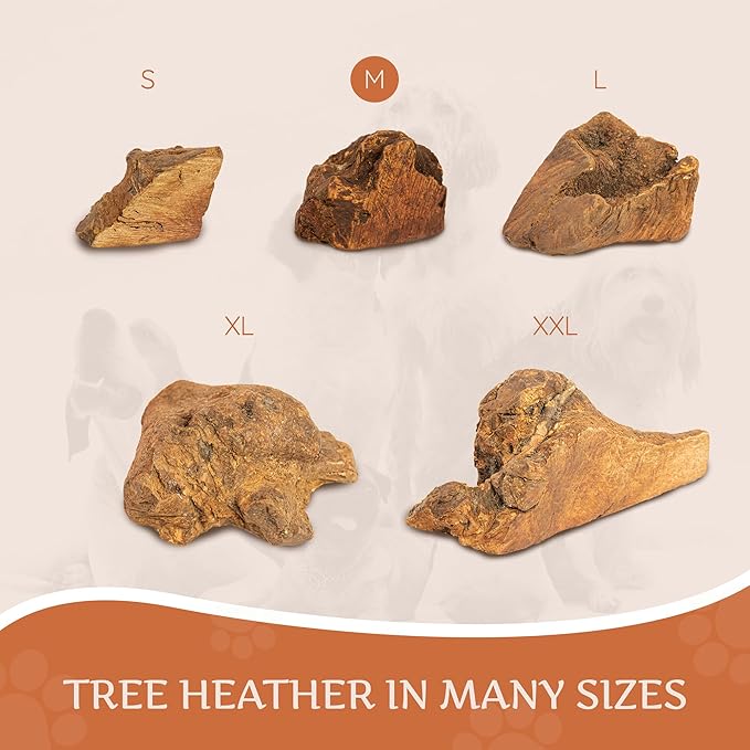 Wildfang® Briar Wood Chewing Root, Medium - Splinter Free Wood Dog Chew Toys for Aggressive Chewer, Odorless Natural Teething Toys Dogs Dental Health, Healthy Gums (for Dogs 33-55 lbs), Pack of 3