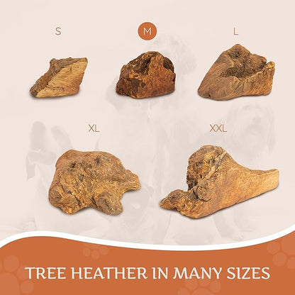 Wildfang® Briar Wood Chewing Root, Medium - Splinter Free Wood Dog Chew Toys for Aggressive Chewer, Odorless Natural Teething Toys Dogs Dental Health, Healthy Gums (for Dogs 33-55 lbs), Pack of 3