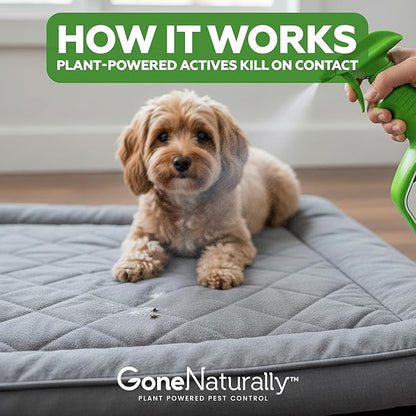 GoneNaturally Flea and Tick Spray for Dogs & Home– Natural Flea and Tick Prevention for Dogs– Bed Bug Spray & Multi-Insect Killer– Scentless Plant-Based Formula Kills on Contact (32 oz)