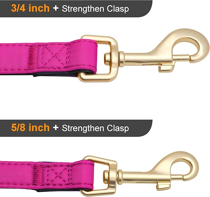 Didog 5FT Colorful Nylon Dog Leash with Soft Full-Length Padding, Lightweight and Durable Pet Leash for Small Dogs, Rose Purple, S
