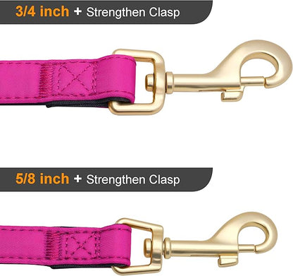 Didog 5FT Colorful Nylon Dog Leash with Soft Full-Length Padding, Lightweight and Durable Pet Leash for Medium and Large Dogs, Rose Purple, M