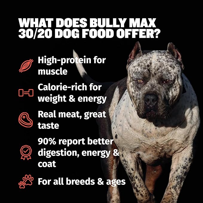 Bully Max Dry Dog Food for Adults & Puppies - High Protein & Fat for Muscle & Weight Gain - High Performance Dog Food Supplements - Small & Large Breed Dogs (530 Calories Per Cup), Beef, 40lb Bag