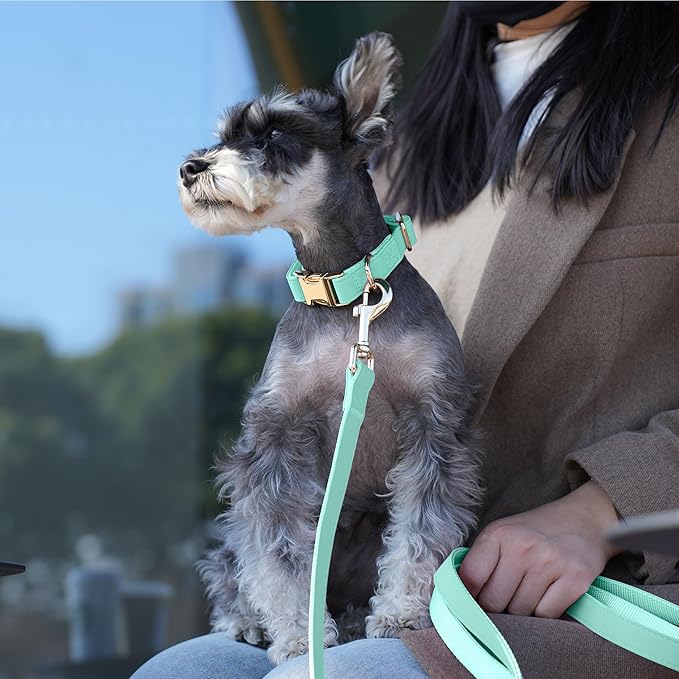 PET ARTIST Soft PU Leather Dog Collar and Leash Set, Bright & Stylish 5FT PU Leather Leash and Collar Set, Durable Pet Collars with Quick Release Metal Buckle for Small Dogs,Mint Green,S(9"-14")