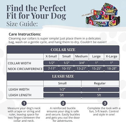 Lucky Love Dog - Easy Click Buckle Dog Collar with Leash Set Combo, Durable & Comfortable for Male & Female Dogs, Pet Collar for Small Dogs, Secure Fit - Blackbird Combo, X-Small