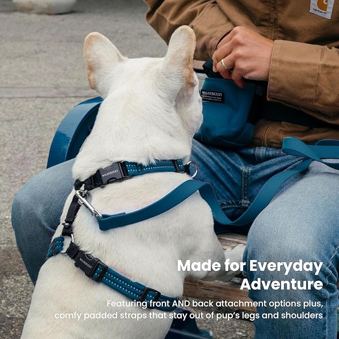 Wildebeest Valencia No Pull Dog Harness | Front and Back Leash Clips | Soft Padded Straps | Lightweight, Adjustable, Easy On/Off for Training and Dog Walking | Large Navy