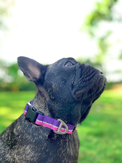 Tuff Pupper Heavy Duty Dog Collar | Tough Dogs Collar | Reflective Collars with Aluminum D-Ring Leash Clip | Separate ID Tag Attachment Keeps Engraved Dog Tags Quiet | Easy Sizing for All Breeds