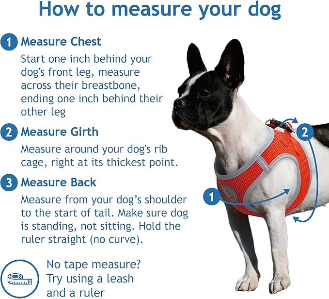 DOCO Dog Harness for Small Sized Dog - Athletica Adjustable, No Pull, No Choke, Puppy Vest Lightweight Air Mesh, Reflective, Puppy Essentials – Gray, Small (Chest 14.5"-15.5", Weight 6–10 lbs)