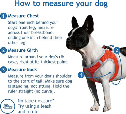 DOCO Dog Harness for Small Sized Dog - Athletica Adjustable, No Pull, No Choke, Puppy Vest Lightweight Air Mesh, Reflective, Puppy Essentials – Gray, Small (Chest 14.5"-15.5", Weight 6–10 lbs)