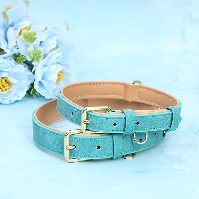 Leather Dog Collar for Small Dogs, Soft Padded Dog Leather Collar with Heavy Duty Gold Buckle, Durable & Comfortable, Teal Blue, S