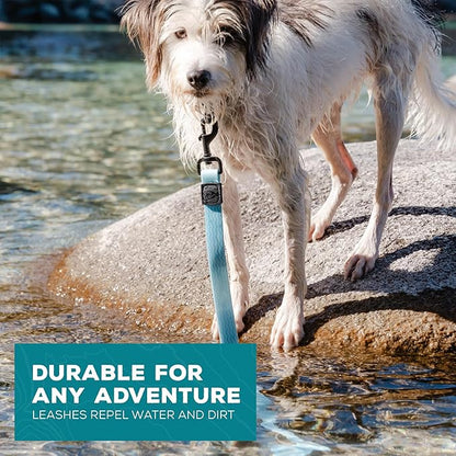 Wilderdog Waterproof Dog Leash - Repels Water & Dirt - Saltwater