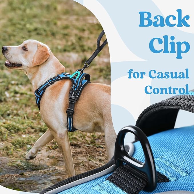 rabbitgoo Dog Harness Small Sized, No Pull Pet Harness with 3 Buckles, Adjustable Soft Padded Vest with Control Handle, Walking Reflective Pet Vest for Small Dogs, Sky Blue, S