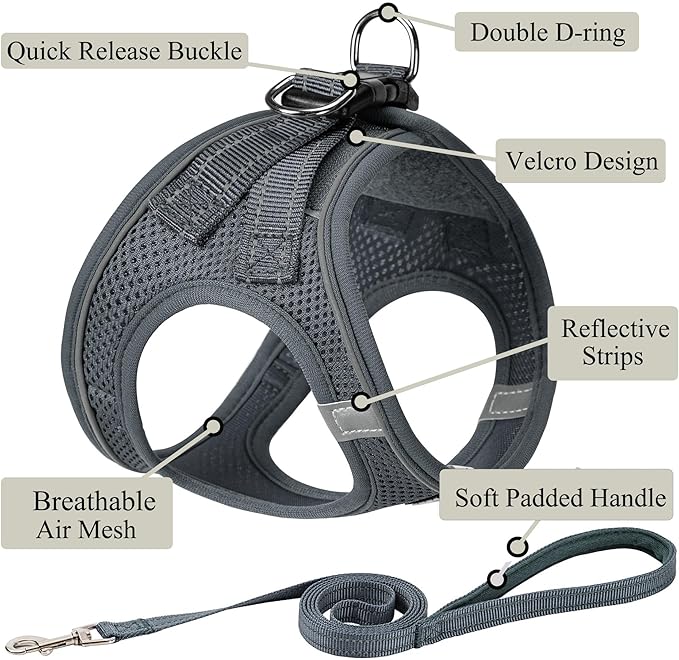 Dog Harness with Leash Set, No Pull Adjustable Reflective Step-in Puppy Pet Vest Harnesses for Small Medium Large Dogs and Cats,Grey XXS
