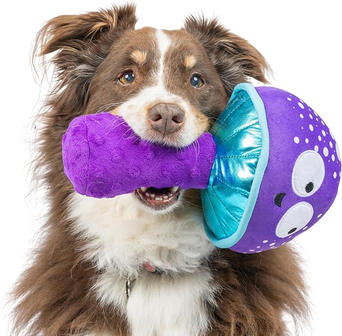 Huxley & Kent for Dogs | Mellow Mushroom (Large) | Funny Dog Toy | Power Plush Dog Toy with Squeaker | Dog Gift | Fun, Durable | H&K Squeaky Dog Toy