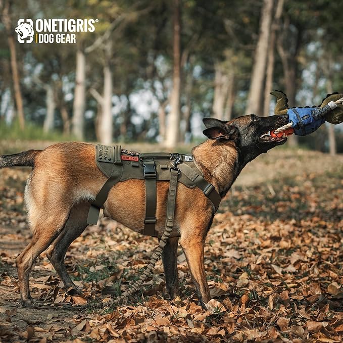 OneTigris Escape Proof Dog Harness, No Pull Dog Harness with Handles, Tactical Multi-Use Support Dogs Harnes for Large Dogs Everyday Wear Walking Hiking Training (Green, X-Large)