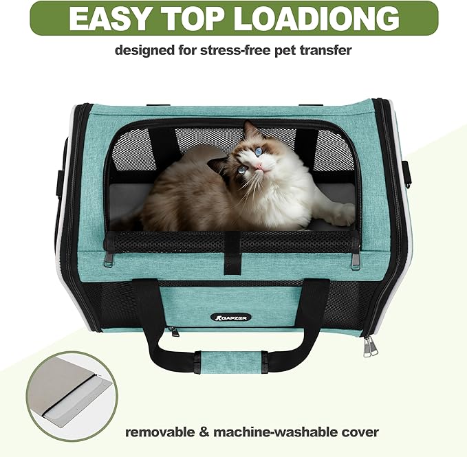 GAPZER Cat Carrier 18"x11"x11" TSA Approved Ventilated Top Open Softsided Pet Air Travel Bag, Small Animal Basic Crate Shih Tzu Dog Kennel Carry Case, 4-Mesh-Side Kitty Carry on up to 20lbs Teal