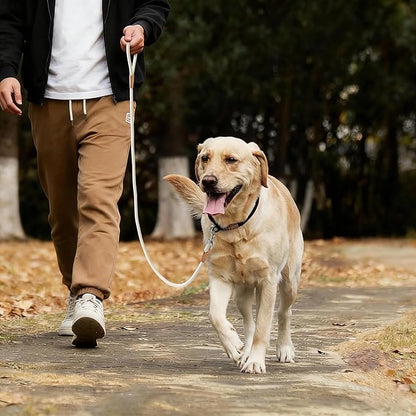 Mile High Life Dog Leash, Rope Leash with Genuine Leather Connection and Heavy Duty Metal Clasp, Great for Small Medium Large Dogs(Cream White,72 Inch)