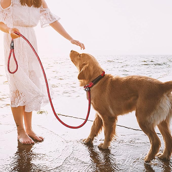 TwoEar 6FT Slip Lead Dog Leash, Heavy Duty Slip Leash for Dogs with Highly Reflective, Strong Rope Slip Leads No Pull Pet Training Leashes for Large Medium Dogs (1/2", Red)