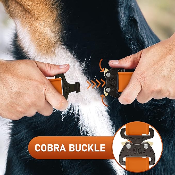 NexaPaw Biothane Dog Collar with Cobra Buckle - Made in USA - QR Code Dog Tag ID Included - Adjustable Heavy Duty Dog Collars for Medium Large Dogs - Waterproof Military Grade Tactical (3/4", Orange)