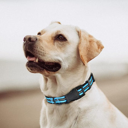 Mile High Life Reflective Dog Collar | Nylon Pet Collars wiith Buckle | Light Weight Puppy Collars | Light Blue Dog Collars for Medium Dogs (Light Blue, M)