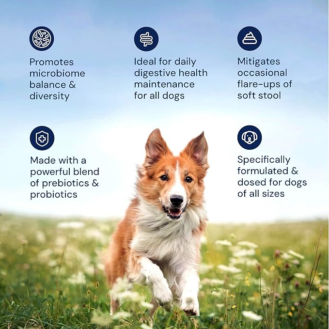 AnimalBiome Dog Probiotics - GMP Prebiotics and Probiotics - Reduce Diarrhea Flareups - for Dogs Under 20 lbs (60 Capsules) - DoggyBiome