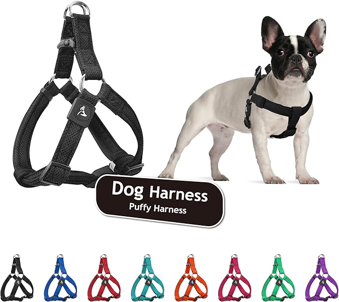 Kruz No Pull Dog Harness (Chest 26”-38”, Weight 44-88 lbs) Heavy-Duty Pet Harness for Large Breeds, Ultra-Comfort Fit, Lifetime Durability, Adjustable Dog Harness No Pull Design (Black, Large)