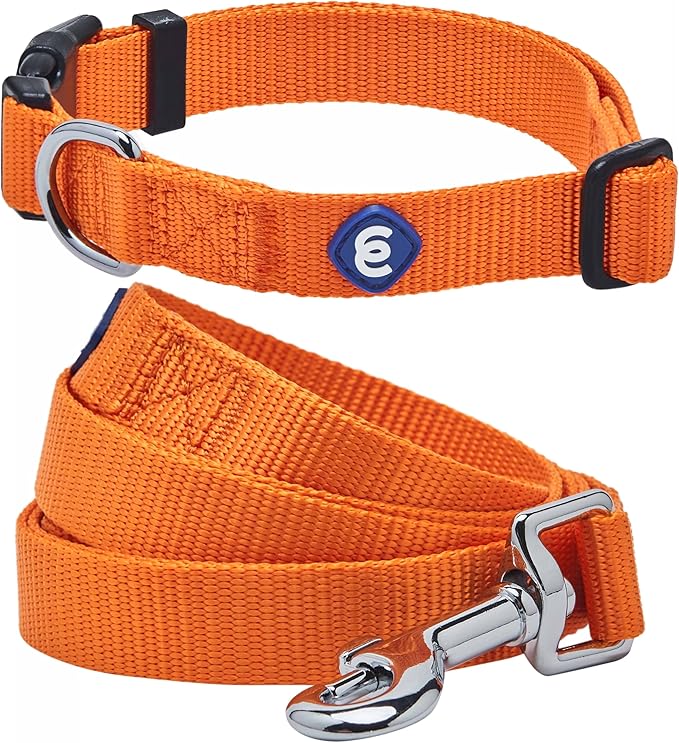 Blueberry Pet Essentials Matching Dog Collar and Leash Set in Orange Vermilion, Adjustable Classic Solid Color Nylon Collar with 5 ft Leash for Medium Dogs