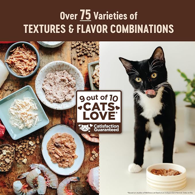 Wellness CORE Pate Kitten Wet Cat Food, Natural, Protein-Rich, Grain Free, 3 Ounce, 12 Pack (Turkey & Chicken Liver)