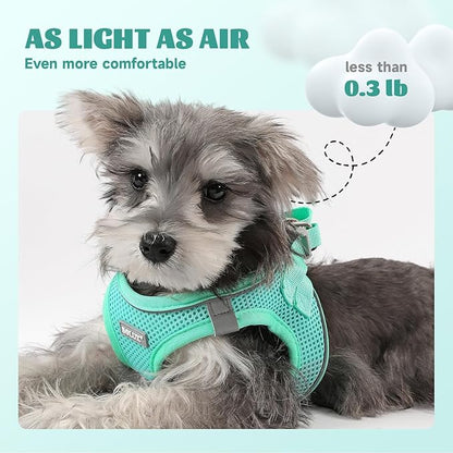 Bolux Dog Harness Small Sized and Leash Set, Step in Soft Light Puppy Vest, Breathable Mesh Pet Harness, Reflective for Safe Easy Walking.