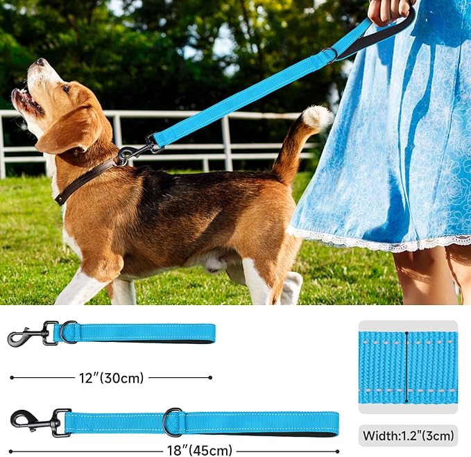 Dog Leash, Short Dog Leash, 24 Inch, Black