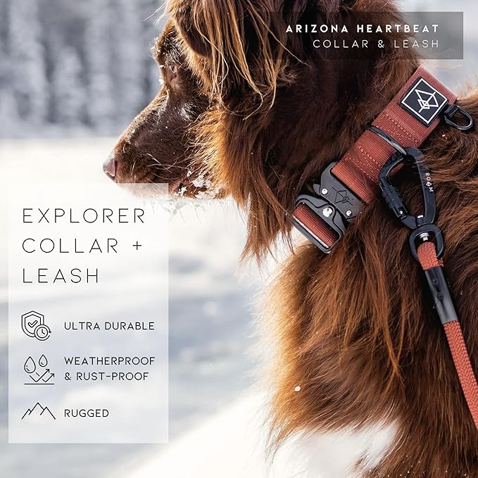 Made to ROAM Premium Dog Collar - Adjustable Heavy Duty Nylon Collar with Quick-Release Metal Buckle (Michigan Autumn, Classic Size 4)
