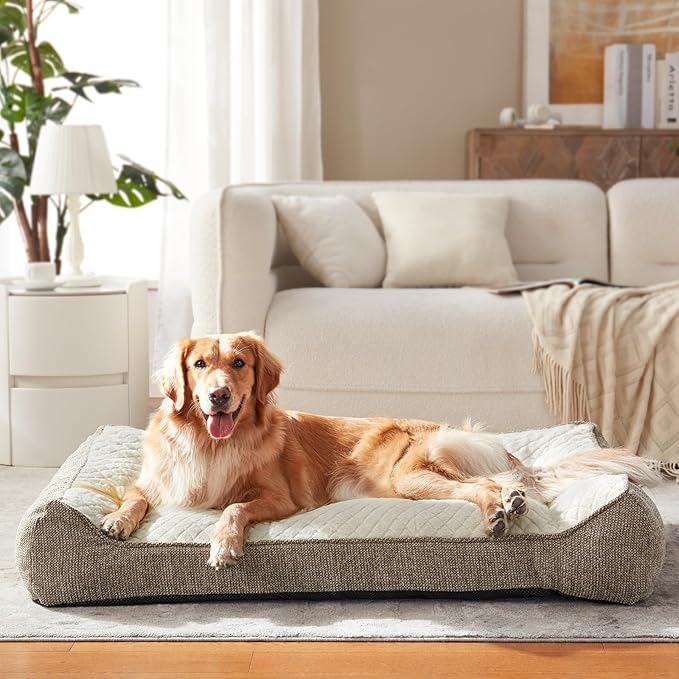 JOEJOY Orthopedic Dog Bed Medium Sized Dogs, Extra Thick Supportive Big Dog Couch Bed with Sides, Ultra Soft Pet Bed Sofa, Beige, 35''x25''